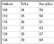 Dívčí noční košile Wolf - Kočička, vel.104