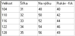 Dívčí tričko Anna a Elsa, vel. 116