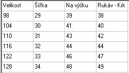 Dívčí, dětské tričko My Little Pony, vel. 98