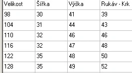 Dívčí, dětské tričko Doktorka Plyšáková, vel. 98